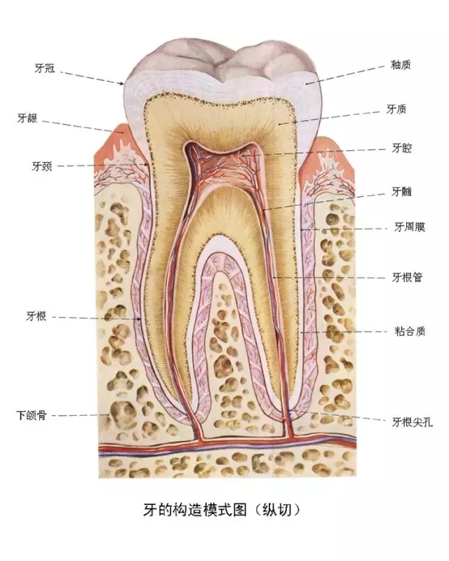 640.webp (9).jpg