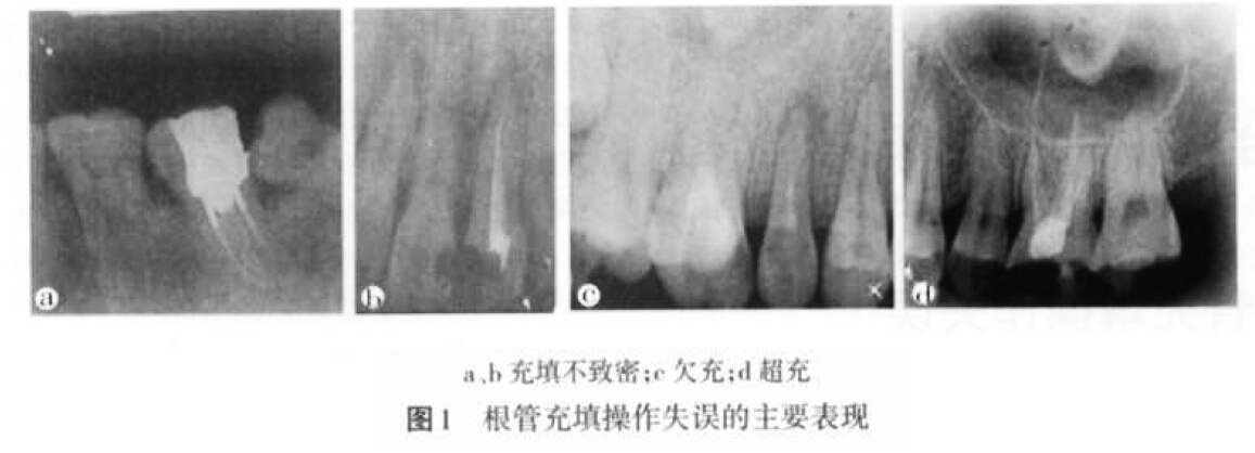 QQ截圖20160803135926.jpg