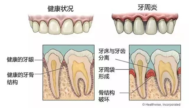 640.webp (29).jpg