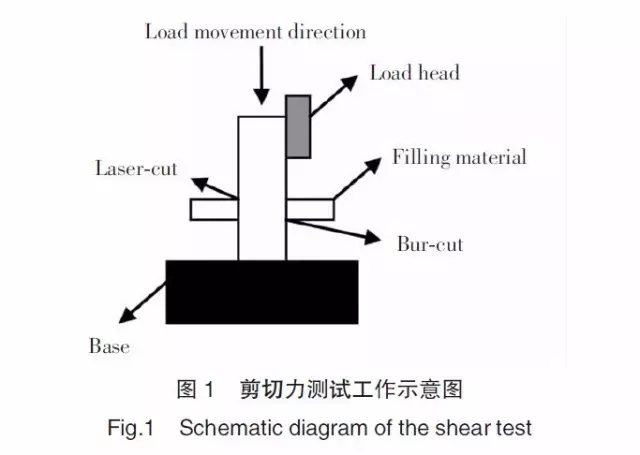 640.webp (3).jpg