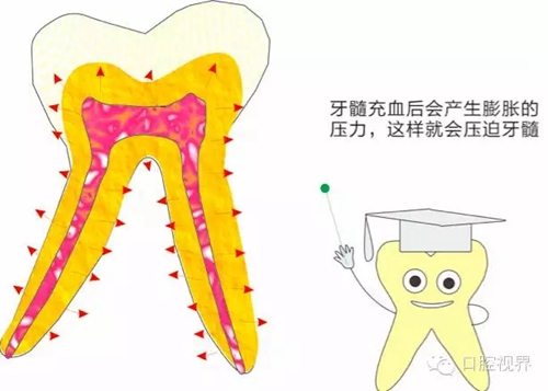 【愛牙科普知識300問】 “什么是牙齦萎縮？”