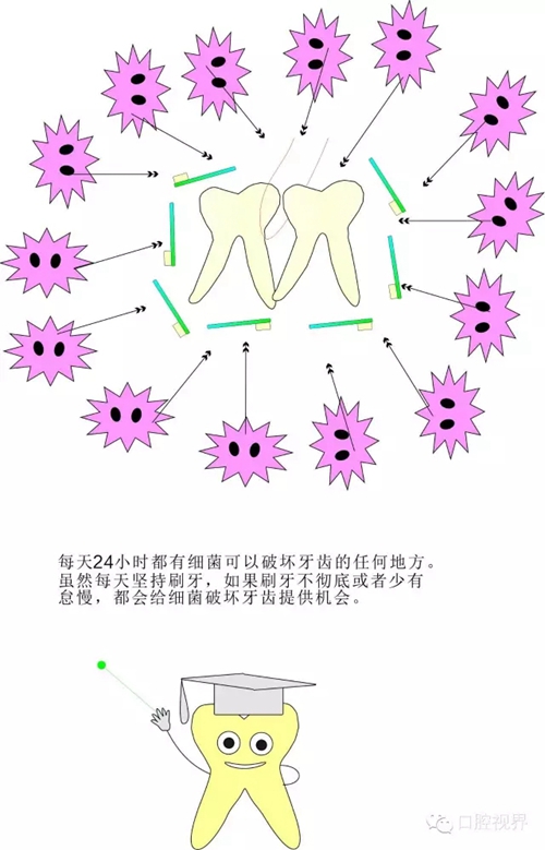 愛(ài)牙科普知識(shí)