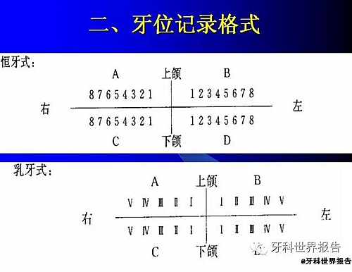 口腔的檢查與記錄  