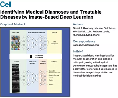《細(xì)胞》重磅：中國科學(xué)家研發(fā)的AI影像診斷系統(tǒng)首登頂級期刊，可診斷眼病和肺炎兩大類疾病，準(zhǔn)確性匹敵頂尖醫(yī)生 | 科學(xué)大發(fā)現(xiàn)