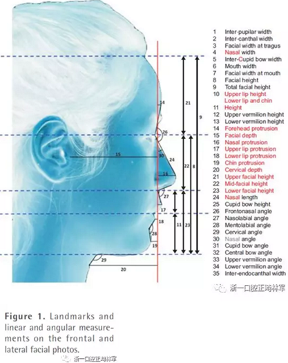 正畸文獻(xiàn)閱讀--對美貌年輕女性面部尺寸的分析
