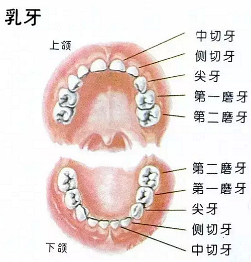 彭麗媛《戰(zhàn)士與母親》