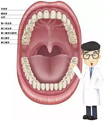 關于窩溝封閉