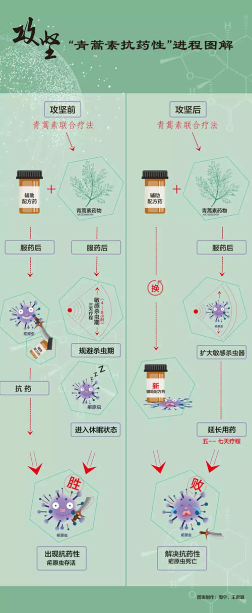 屠呦呦團隊新突破！