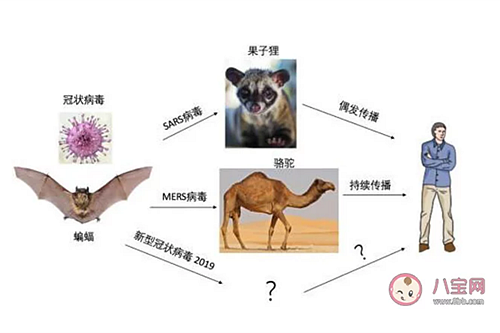 新型冠狀病毒感染了一定會發(fā)熱嗎？新型冠狀病毒前期的癥狀有哪些？