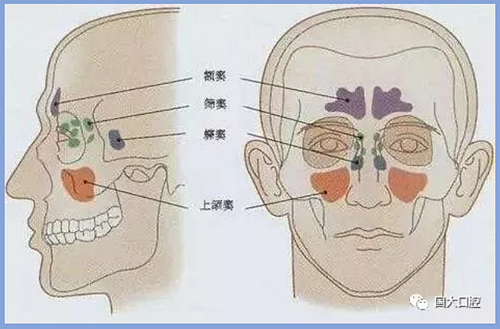 疫情期間，種植科突發(fā)狀況居家處理建議