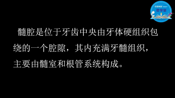 （第二十五期）微學(xué)堂回顧