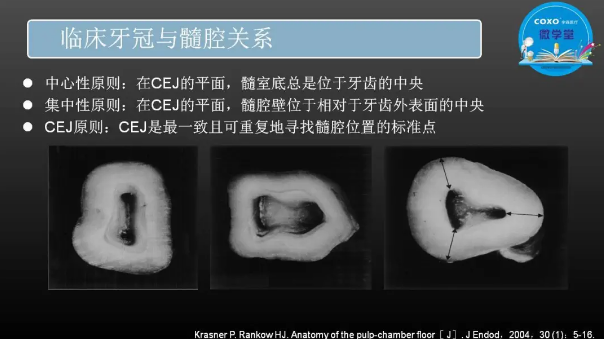 （第二十五期）微學(xué)堂回顧