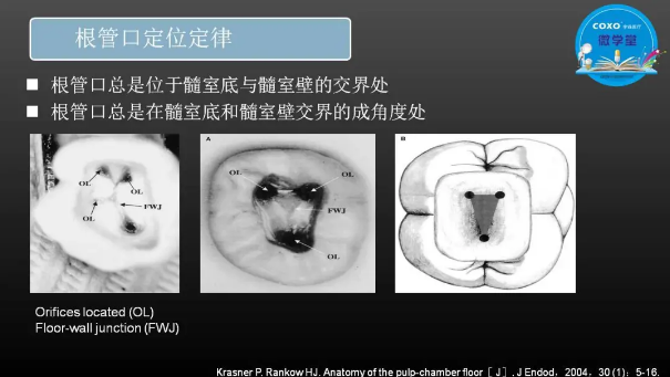 （第二十五期）微學(xué)堂回顧