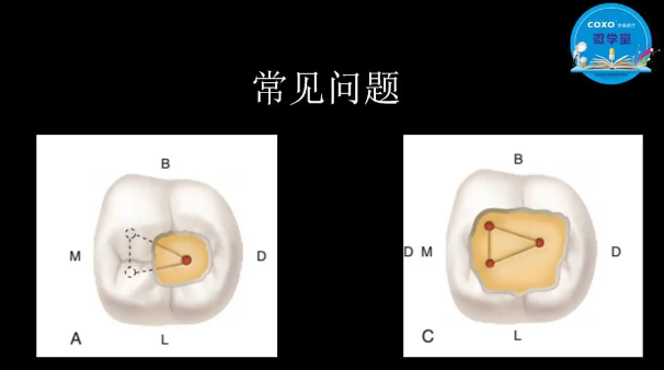 （第二十五期）微學(xué)堂回顧